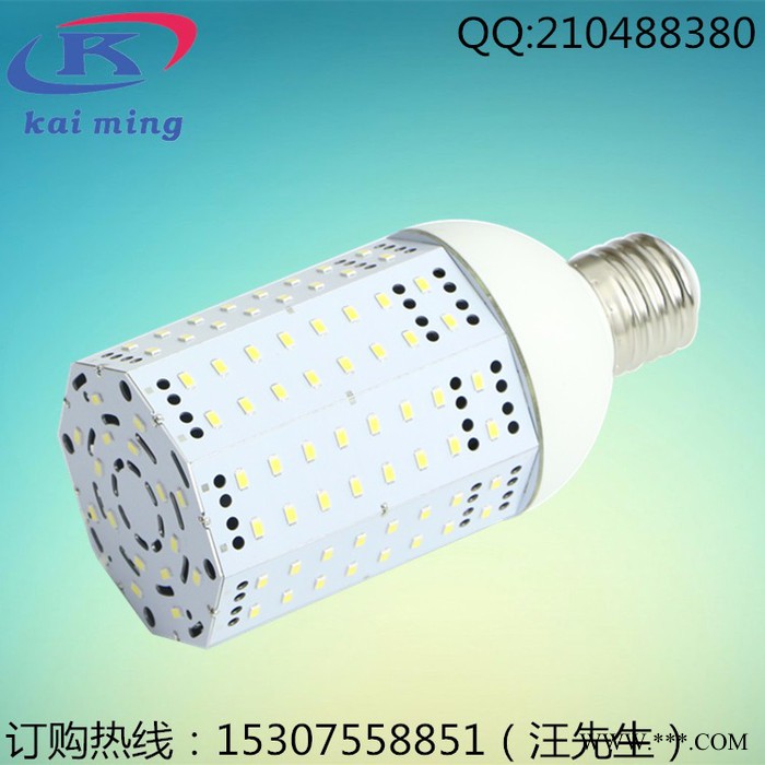 120WLED玉米灯泡批发  LEDe40/e27玉米灯 节能灯家用灯  景观灯**图1