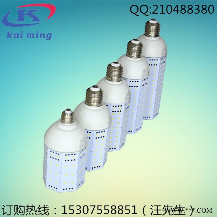 120WLED玉米灯泡批发  LEDe40/e27玉米灯 节能灯家用灯  景观灯**图2