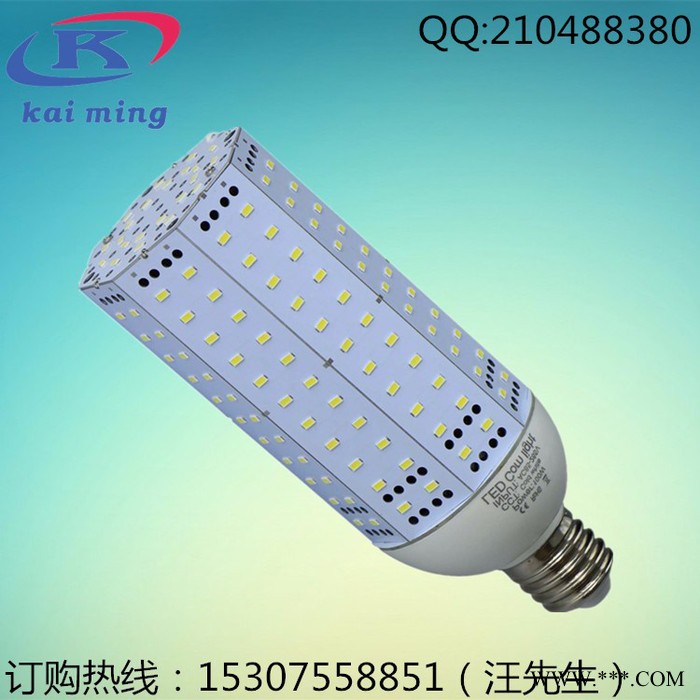 120WLED玉米灯泡批发  LEDe40/e27玉米灯 节能灯家用灯  景观灯**图3