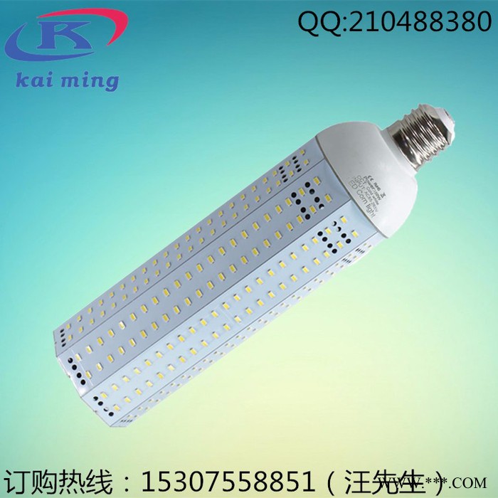 120WLED玉米灯泡批发  LEDe40/e27玉米灯 节能灯家用灯  景观灯**图5