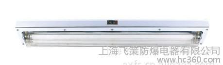 全塑荧光灯,bys全塑荧光灯,bys荧光灯,BYS全塑荧光灯 增安型结构?