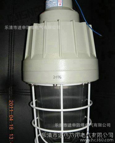 CCD-250 防爆照明灯 全塑壳体 CCD250 防爆灯 防爆节能灯