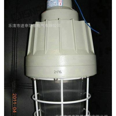 CCD-250 防爆照明灯 全塑壳体 CCD250 防爆灯 防爆节能灯