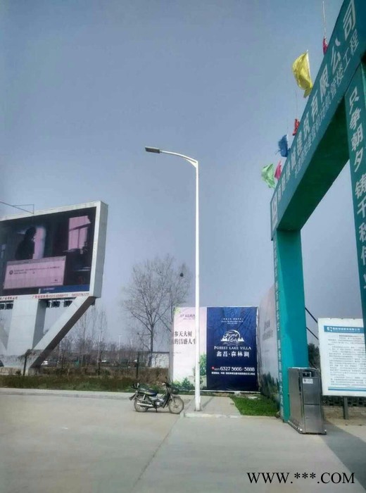 河南路灯厂家特价直销_西安景观灯厂家 星月照明图3