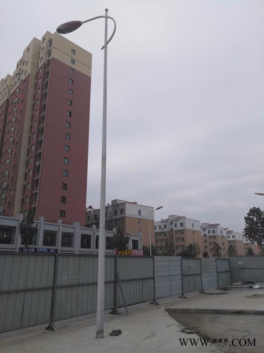 河南路灯厂家特价直销_西安景观灯厂家 星月照明图2