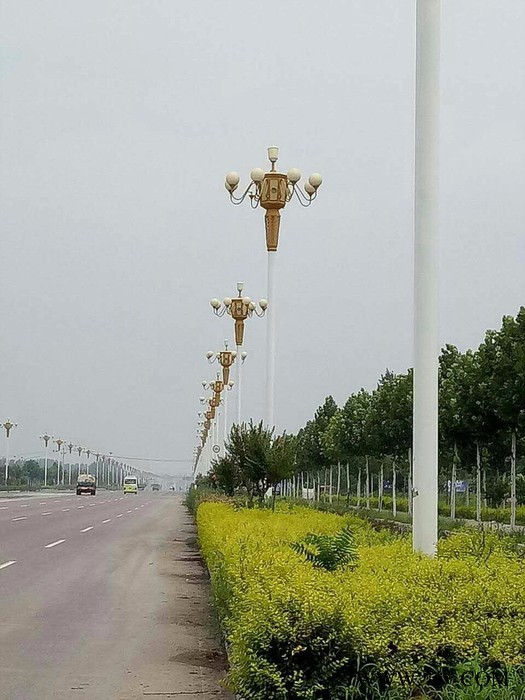 河南路灯厂家特价直销_西安景观灯厂家 星月照明图8