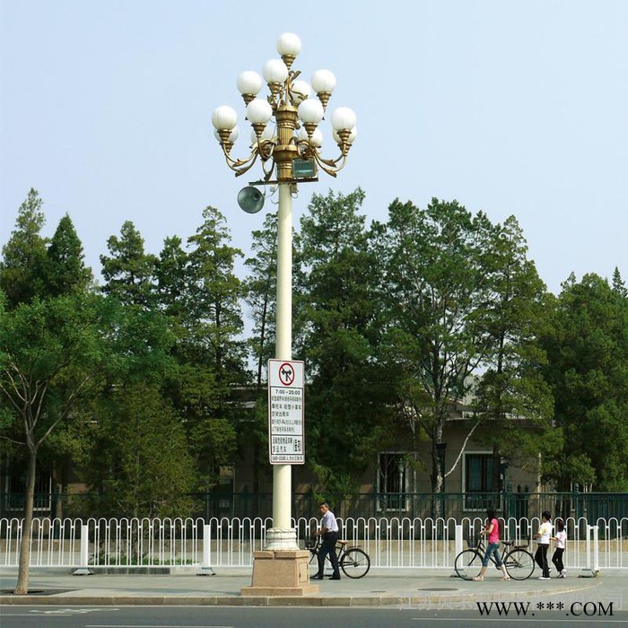 中华灯 玉兰灯户外灯景观灯6米8米庭院灯中华灯道路灯广场灯 高杆景观灯图3