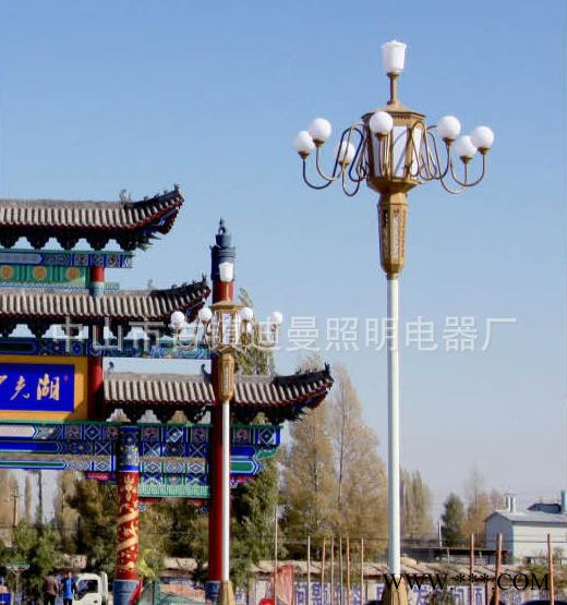 中华灯直销 景观灯可定制 LED景观照明户外庭院广场路灯图3