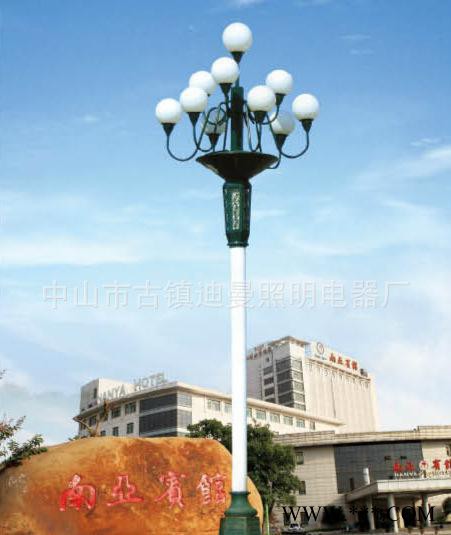 中华灯直销 景观灯可定制 LED景观照明户外庭院广场路灯图2