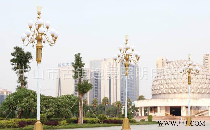 中华灯直销 景观灯可定制 LED景观照明户外庭院广场路灯图1