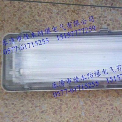 全塑型2*40W防爆防腐荧光灯 BAY51防爆荧光灯