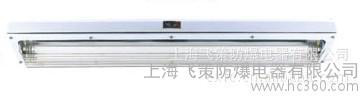 防爆洁净荧光灯,bys-2荧光灯,40wh荧光灯,bys-2洁净荧光灯,40wh洁p图3