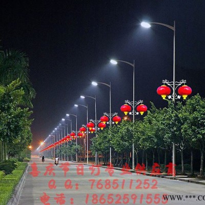 景观灯 LED景观灯 龙型景观灯 供应明源照明JRD2-007-1led灯笼美观龙形发光大理石支架