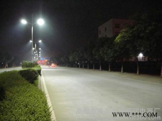 厂家景观灯生产 照明路灯 道路灯图2