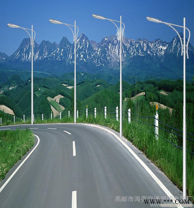 厂家景观灯生产 照明路灯 道路灯图3