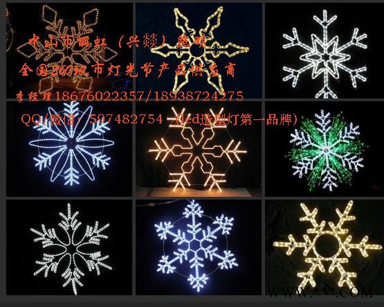 LED造型灯，led图案灯，led景观灯、灯会产品，灯海，灯光节产品图7