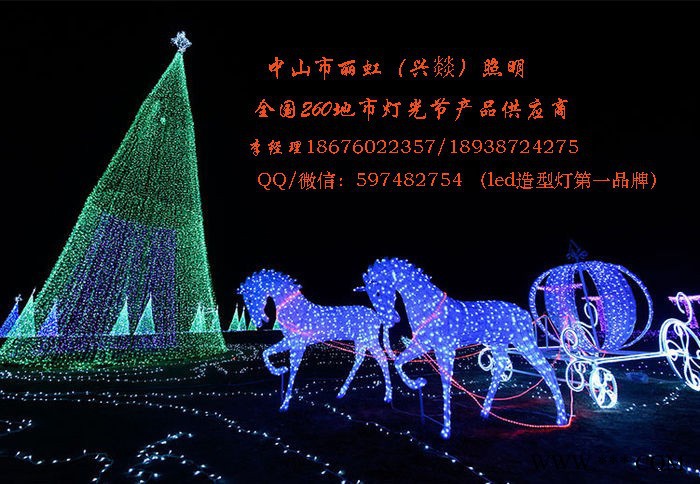 LED造型灯，led图案灯，led景观灯、灯会产品，灯海，灯光节产品图6