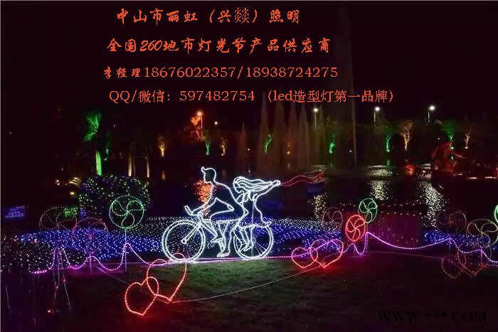 LED造型灯，led图案灯，led景观灯、灯会产品，灯海，灯光节产品图8