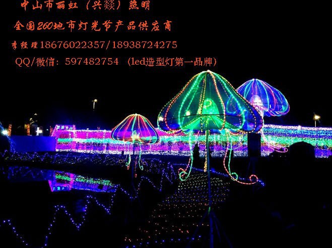 LED造型灯，led图案灯，led景观灯、灯会产品，灯海，灯光节产品图3
