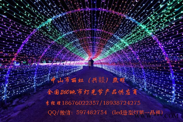 LED造型灯，led图案灯，led景观灯、灯会产品，灯海，灯光节产品图4