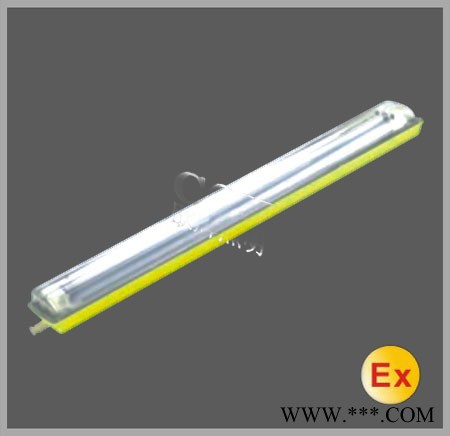 粉尘防爆荧光灯,防腐荧光灯，电厂防爆荧光灯图5