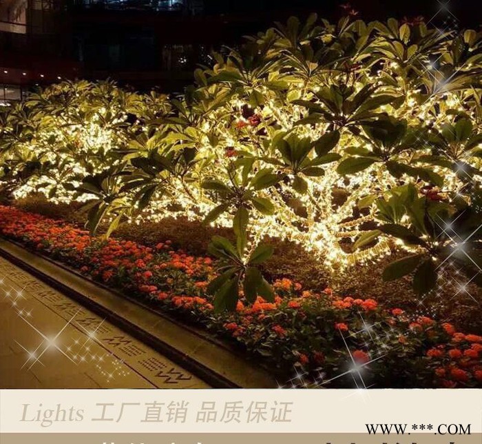 LED彩灯串 圣诞树灯 景观灯 装饰灯 星星灯串 50米40图2