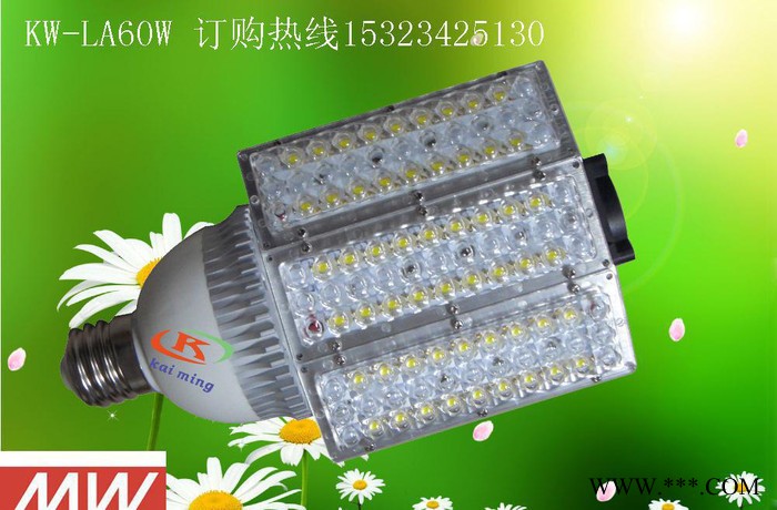 E40螺口60W路路节能灯|节能路灯|LED节灯|高杆路灯|深圳路灯图2