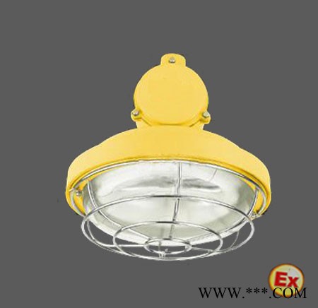 防爆荧光灯,三防荧光灯,2*21w荧光灯图2