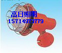 CXTG64钠灯节能灯、CXTG68高效节能灯、GXTG64节能工厂灯，GXTG64D工厂灯，GXTG64B汞灯图3