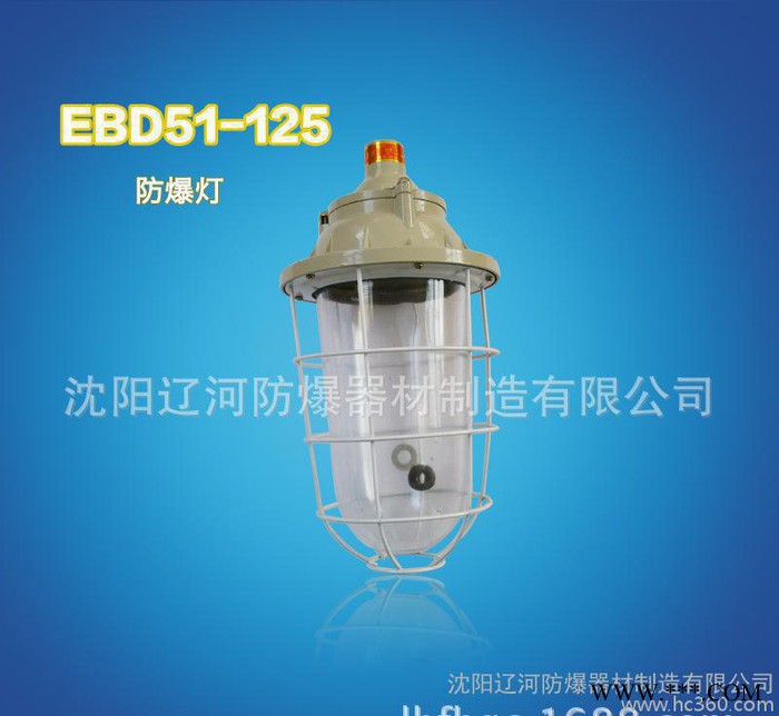 快开防爆灯 85W节能灯 直销 辽河防爆 防爆灯罩图2