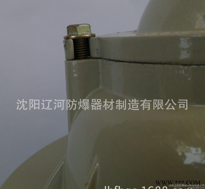 快开防爆灯 85W节能灯 直销 辽河防爆 防爆灯罩图3