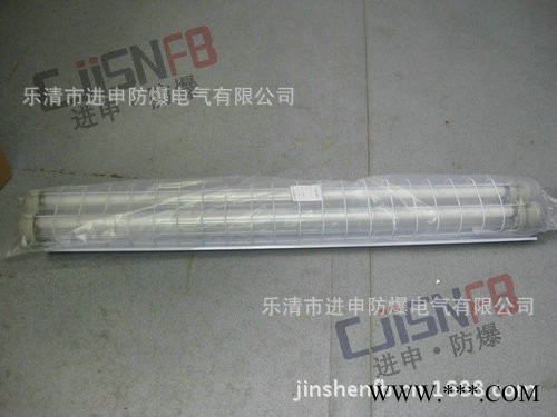 荧光灯 BPY51 防爆双管荧光灯 2*40W 防爆荧光灯 T5荧光灯图2