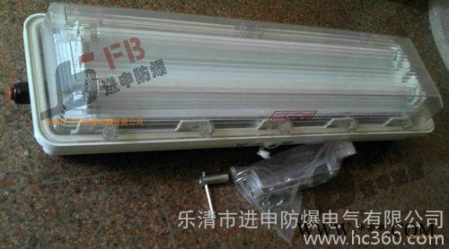 供应BYS防爆防腐全塑荧光灯定做 T8荧光灯厂家 全塑应急荧光灯图2