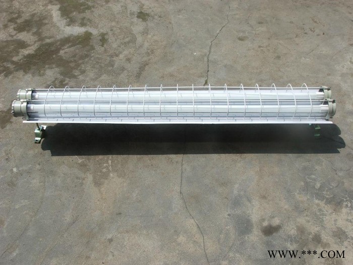 ** 防爆荧光灯 BPY-LED16W 1吐2 双管隔爆节能荧光灯