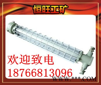 供应恒旺荧光灯矿用隔爆型荧光灯全国通用