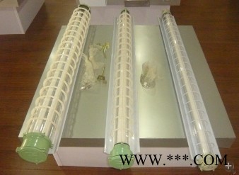 SF-B7032粉尘防爆荧光灯、供应专用防爆（粉尘）荧光灯、防爆日光灯图2