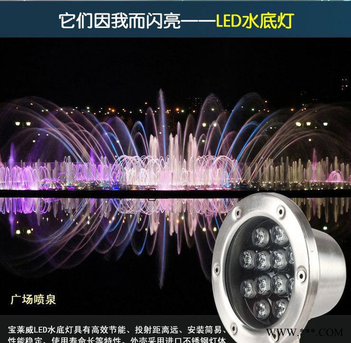 LED水底灯水池灯水下射灯喷泉灯景观灯彩色 12W AC24V图2