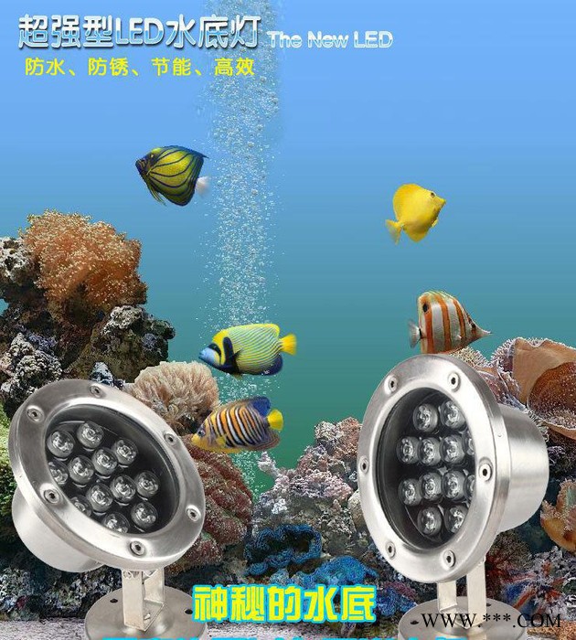 LED水底灯水池灯水下射灯喷泉灯景观灯彩色 12W AC24V图3