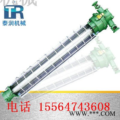 DGS20防爆节能荧光灯图2