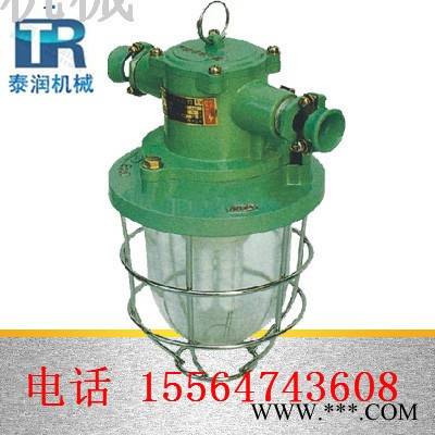 DGS20防爆节能荧光灯