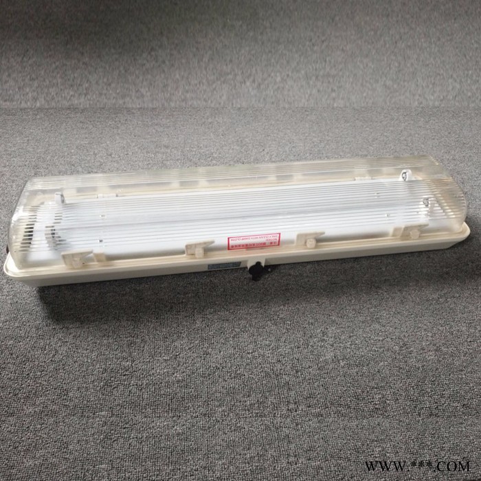 言泉BAY81壁装式防爆防腐荧光灯图4