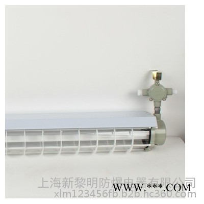 新黎明BPY-1*18W 单管LED防爆荧光灯 T8荧光日光支架灯 新黎明防爆灯