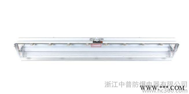 供应中普防爆灯具，防爆荧光灯，防爆照明灯，防腐全塑荧光灯