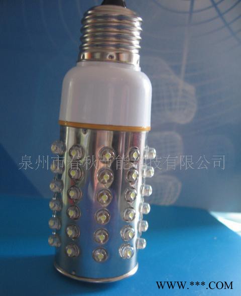 厂家大量外观独特LED玉米灯，太阳能庭院灯/景观灯 光源图2