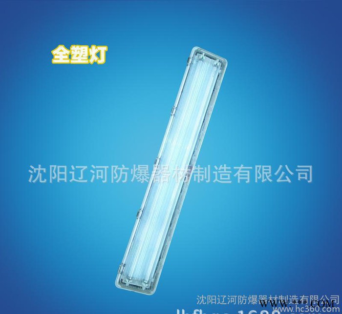 全塑荧光灯 双管防爆灯 直销 防爆防腐 2x40 资质齐全图2