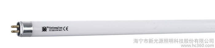大量4W-T5纯三基色荧光灯管 T5直型荧光灯管图2