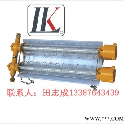 供应雷科DGS10-18-127Y(A)矿用隔爆型LED荧光灯