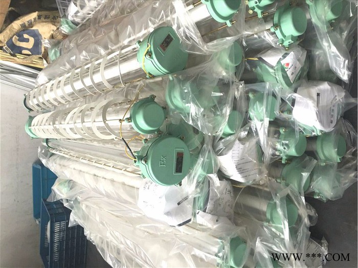 上海新黎明BPY2*18W隔爆型防爆荧光灯 国标品牌BPY2*18W荧光灯 厂价供BPY2X18W隔爆型防爆荧光灯