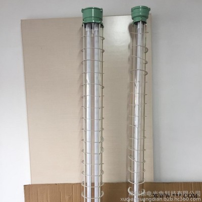 徐电光电供应led 防爆荧光灯 三防灯 应急照明灯具隔爆灯照明灯LED防爆荧光灯