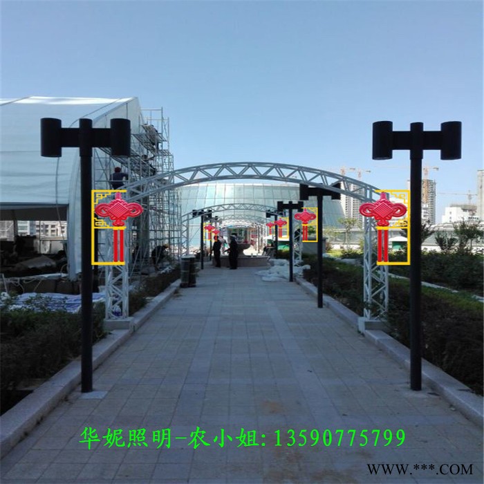 华妮HN-ZXD2019060308 LED花朵造型灯 五一国庆节街道树木亮化 LED跨街灯 黑龙江中国梦景观灯 街棚灯图2